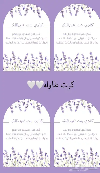 تصميم سيره ذاتيه 27
