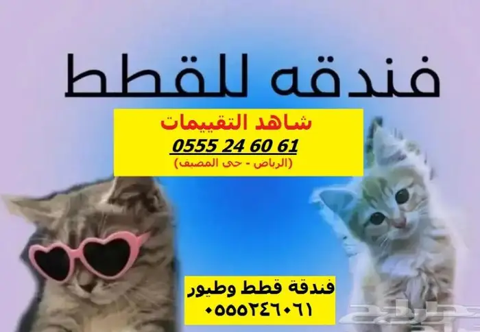 فندقة قطط طيور 6061 24 0555 إستمتع بإجازتك والباقي علينا 0