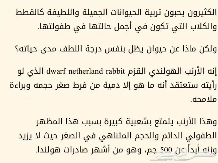 ارنب زينه نذر لاند 1