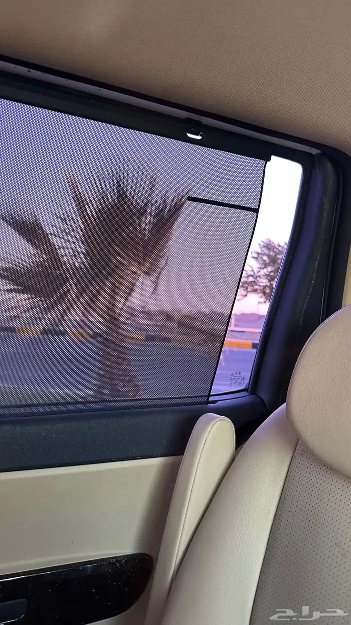 كرنفال 2019 ديزل 12