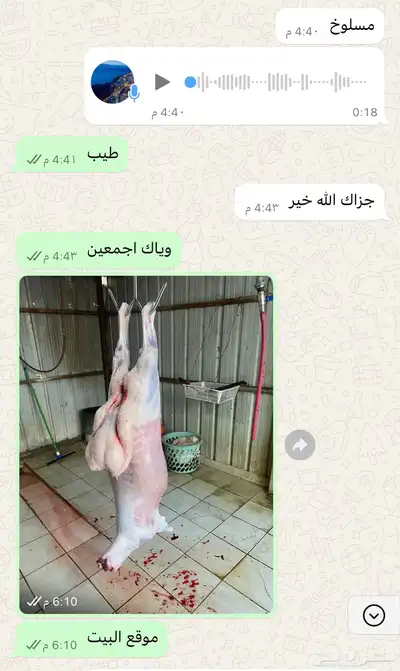 آراء العملاء 4