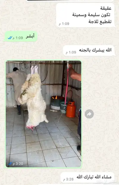 آراء العملاء 2