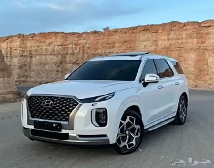 جنوط بالسيد 2022 فئه ال vip 4