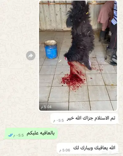 آراء العملاء 3