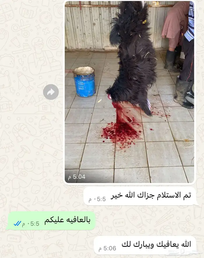 آراء العملاء 3
