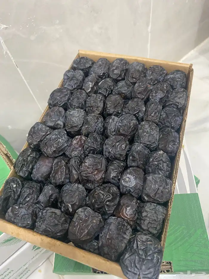 عجوة المدينة 0