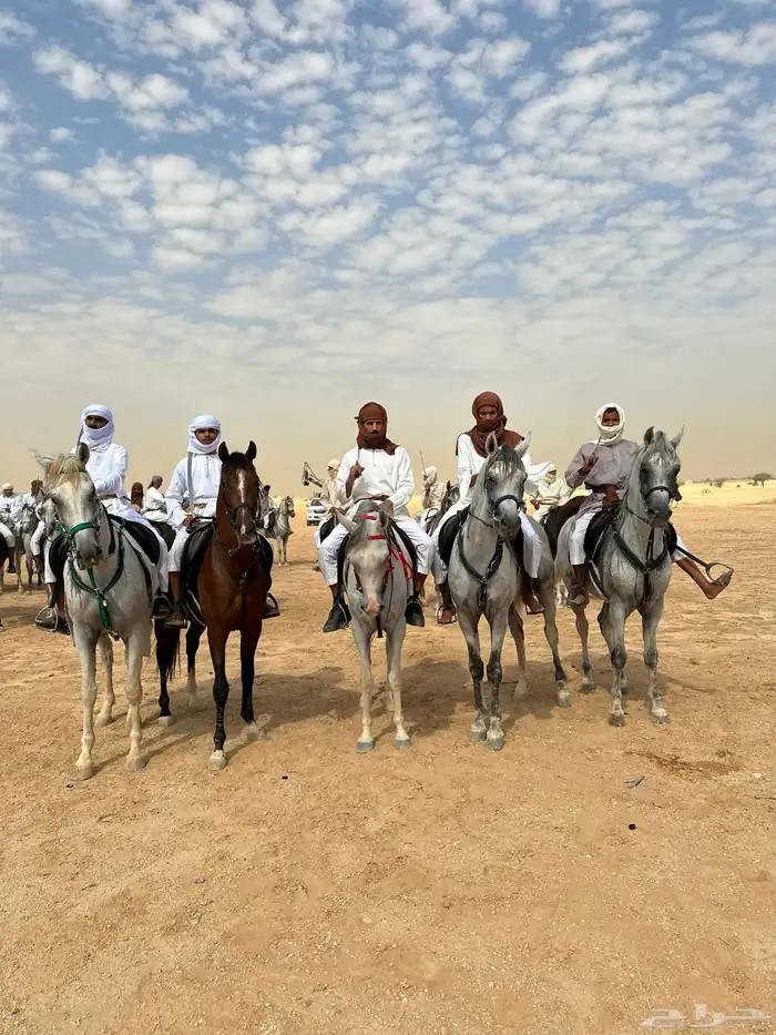 خيل الايجار و تدريب و طلعات تصوير يوم التاسيس 4