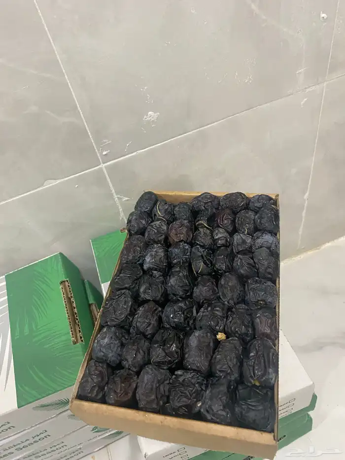 عجوة المدينة 1