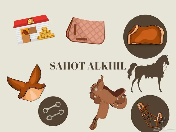 لوازم خيل من صهوة الخيل 0