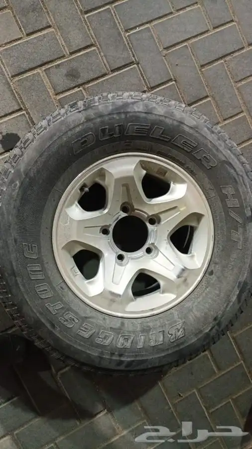 جنوط شنبر وجنوط رفرف 6