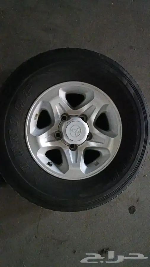 جنوط شنبر وجنوط رفرف 4