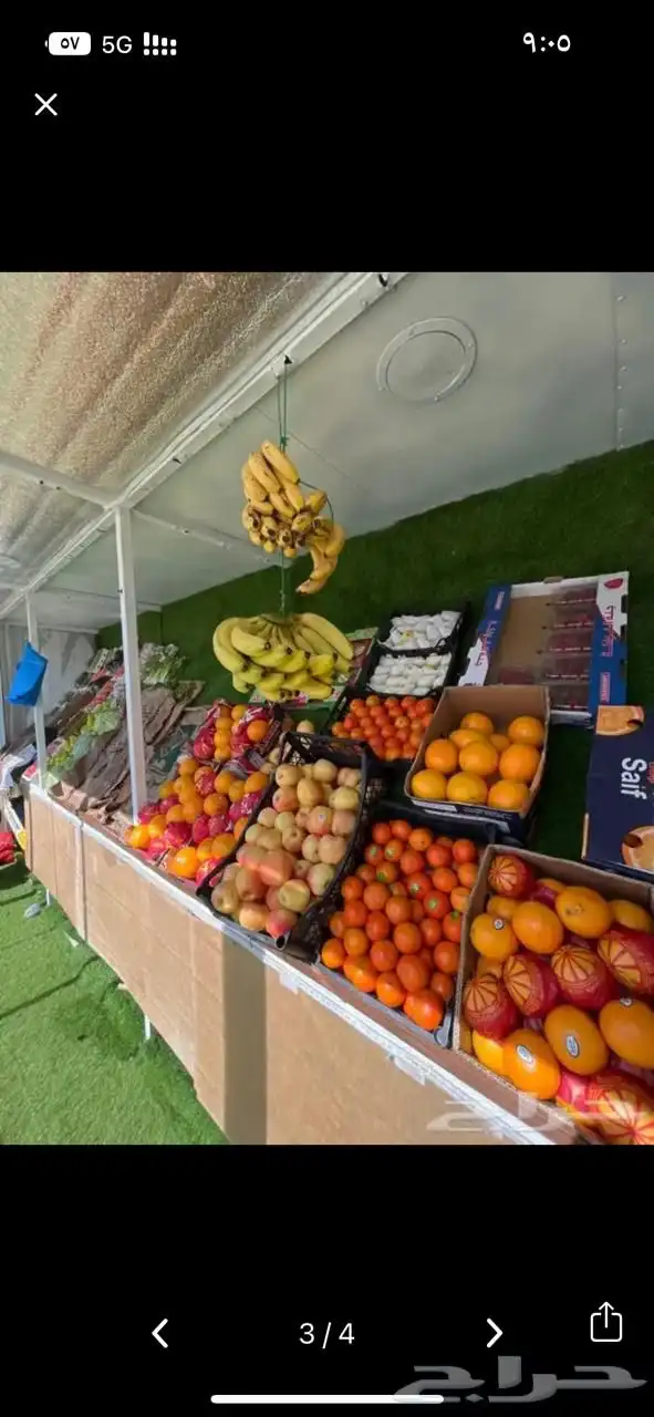 تفصيل فود ترك الموقع جدة 3