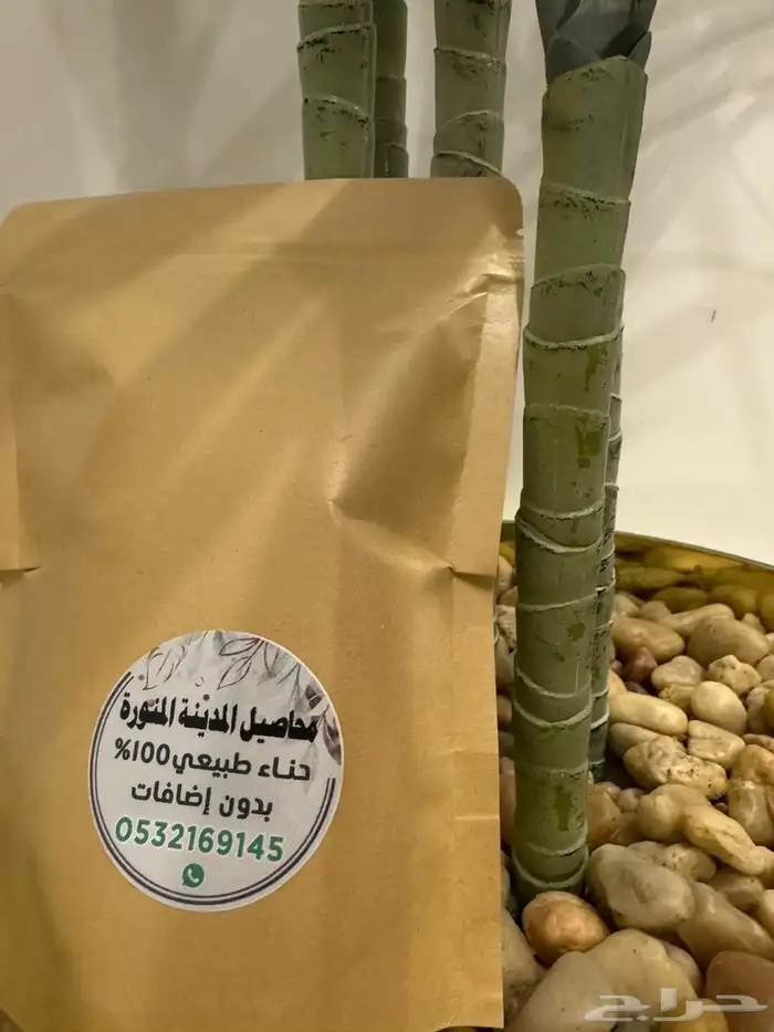 حناء وسدر المدينة المدينة المنورة 5