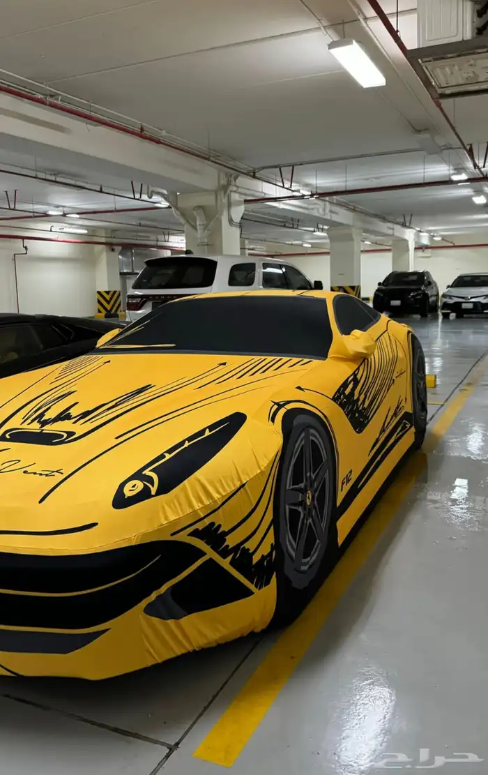 غطاء (طربال) سيارة 7