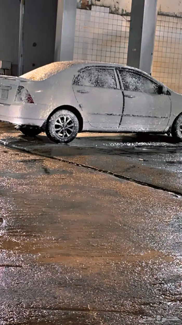 توصيل مدارس وموظفين 4