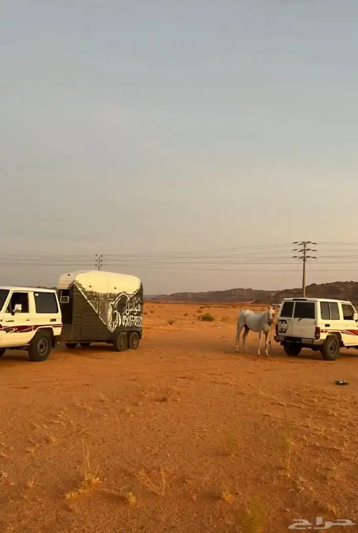 عربه خيل لنقل 0