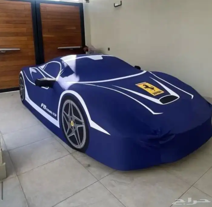 غطاء (طربال) سيارة 5