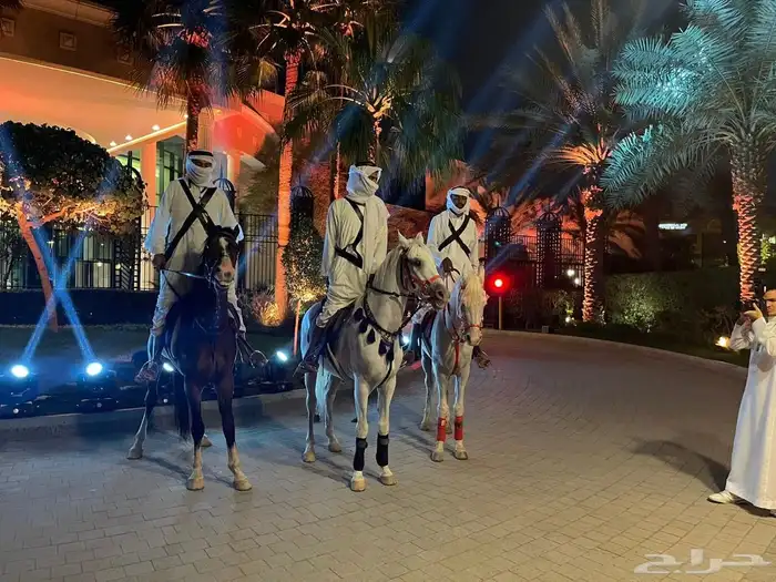 أستأجر خيول وجمال وسياسي 2