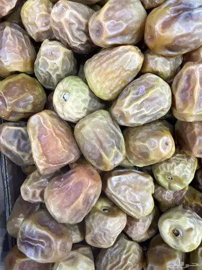 سكري القصيم جالكسي 3