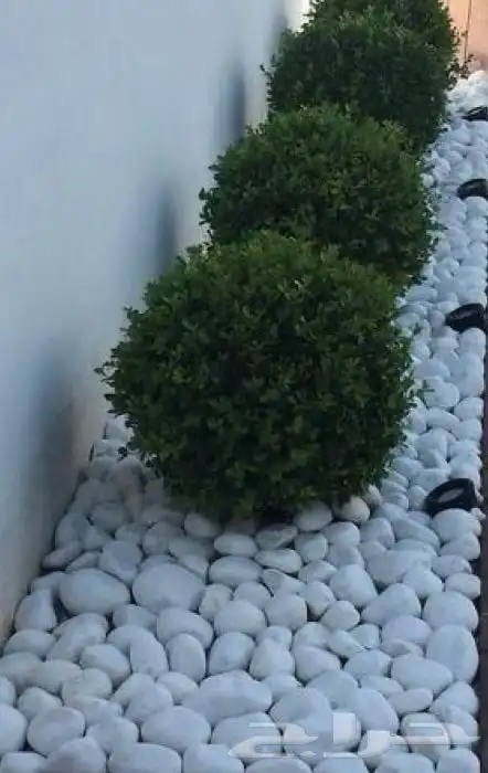 حجر زينه للحدائق 17
