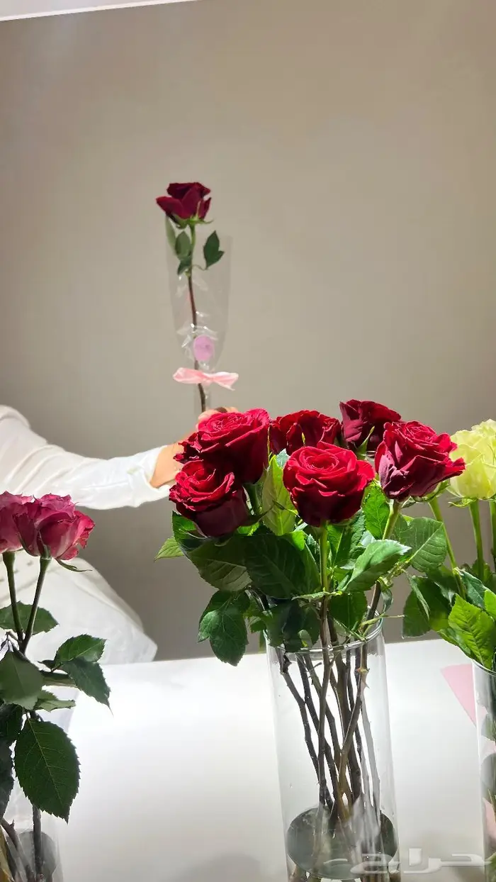 كورنر ورد وكورنر تعبئة عطور مدخل ورد وضيافة مباشرات 10