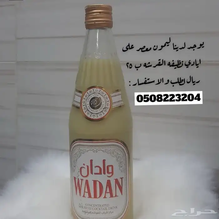 للبيع ليمون حساوي 3