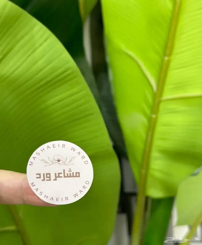 مطبعة طباعة كروت و استكر بأجود جودة 2