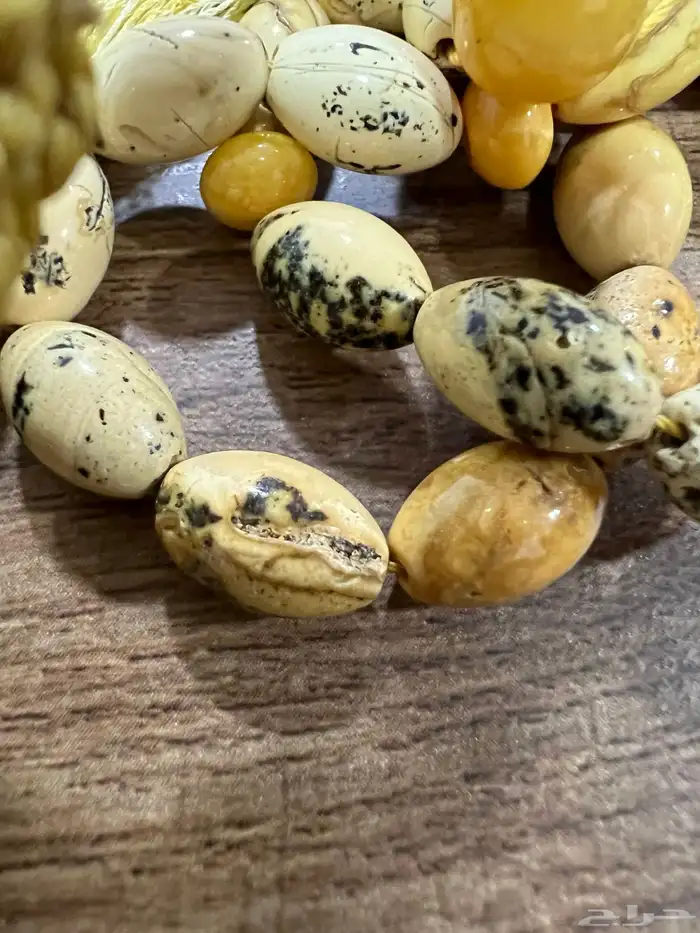 مسباح كهرب بولوني 8