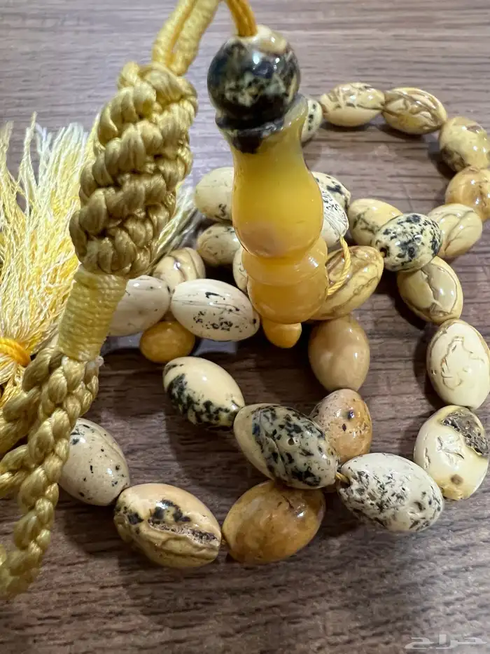 مسباح كهرب بولوني 5