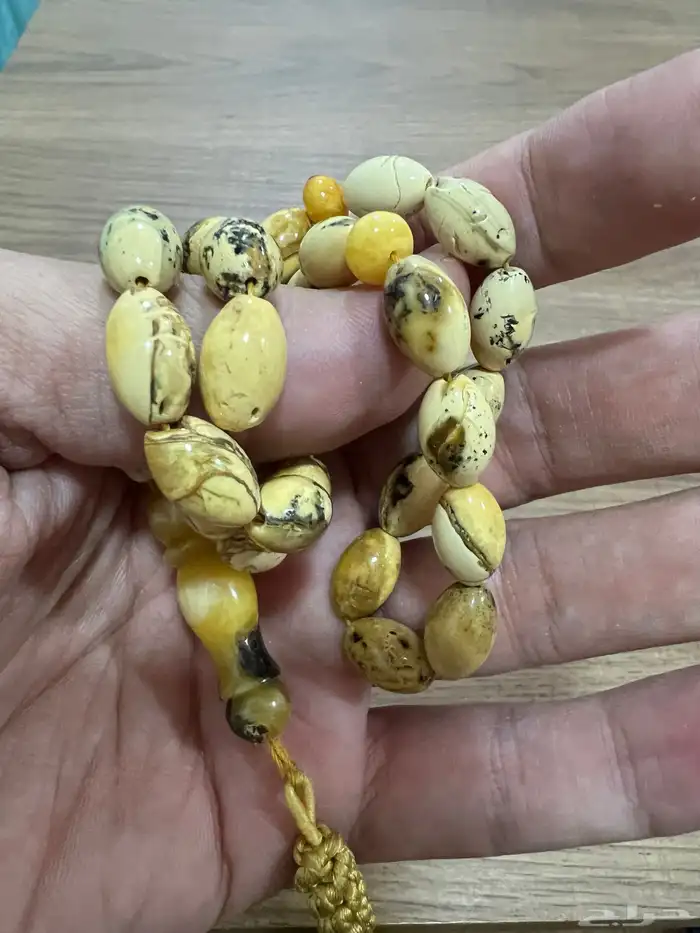 مسباح كهرب بولوني 9