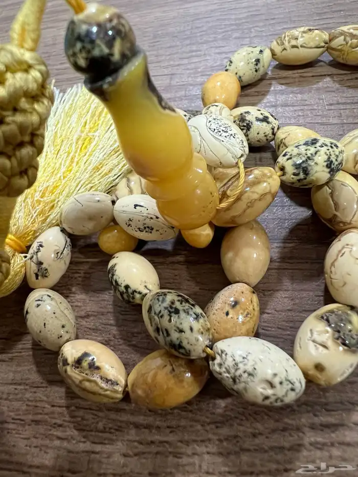 مسباح كهرب بولوني 6