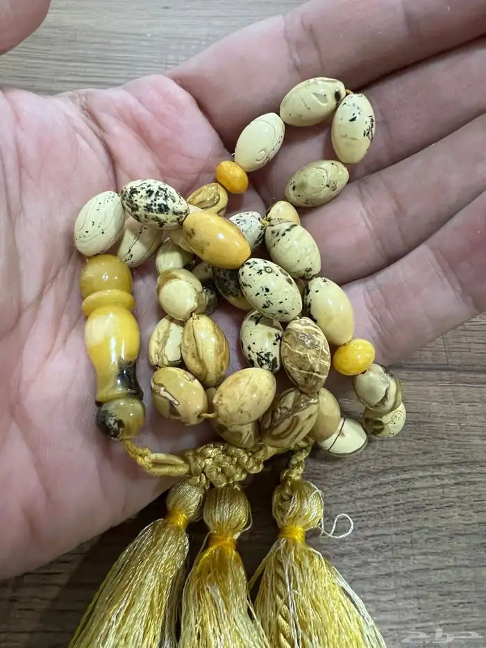 مسباح كهرب بولوني 11