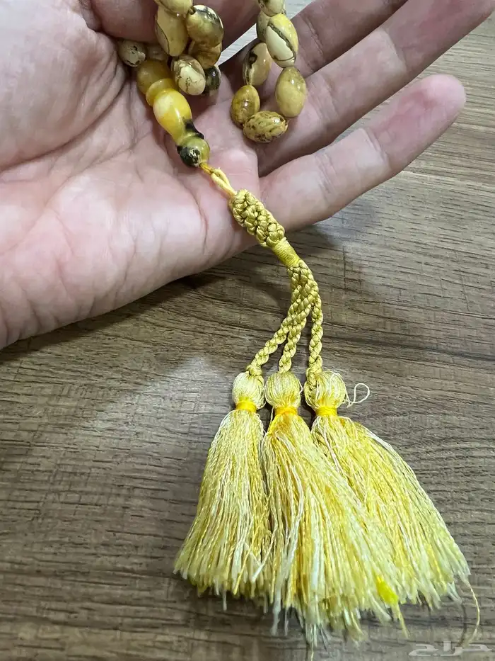 مسباح كهرب بولوني 10