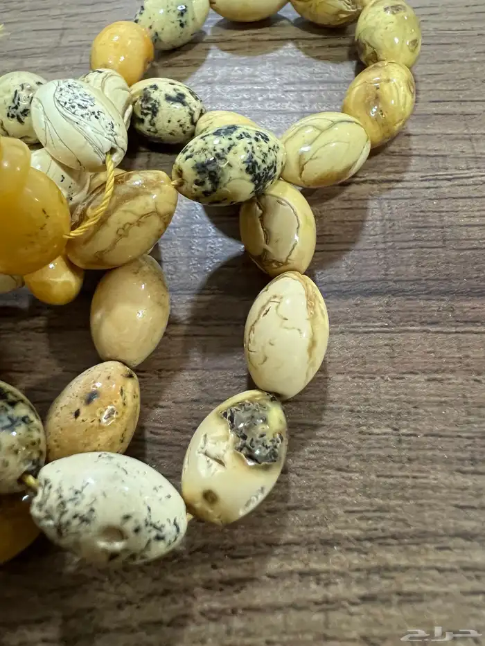 مسباح كهرب بولوني 7