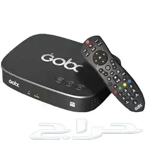 Gobox receiver SSC sports Saudi 0