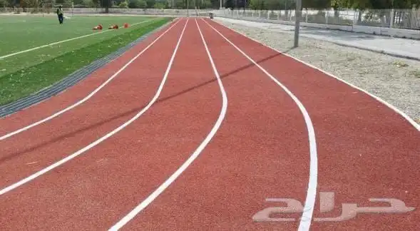 عشب حدائق مضامير ملعب كرة قدم ملاعب رياضية 1