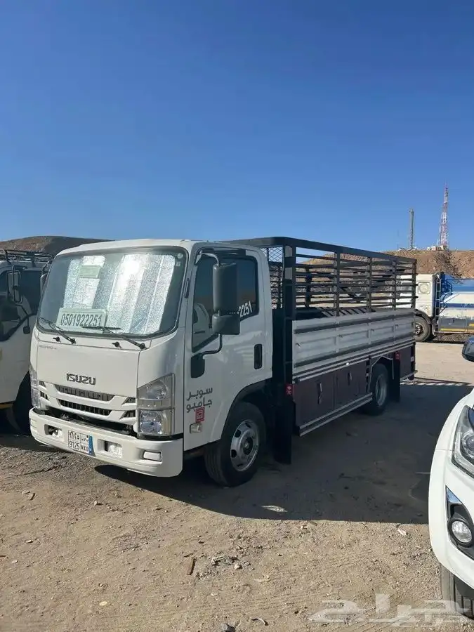 دينه ضباء داخل ضباء وخارجها نيوم تبوك24 ساعه 0