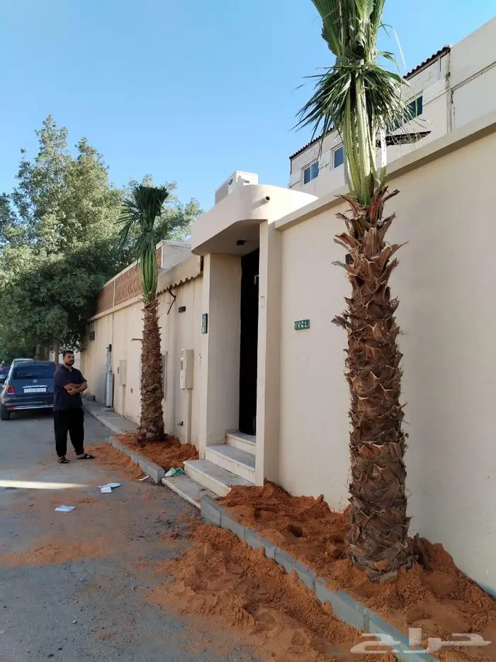 انخل واشنطن زينه 511 4