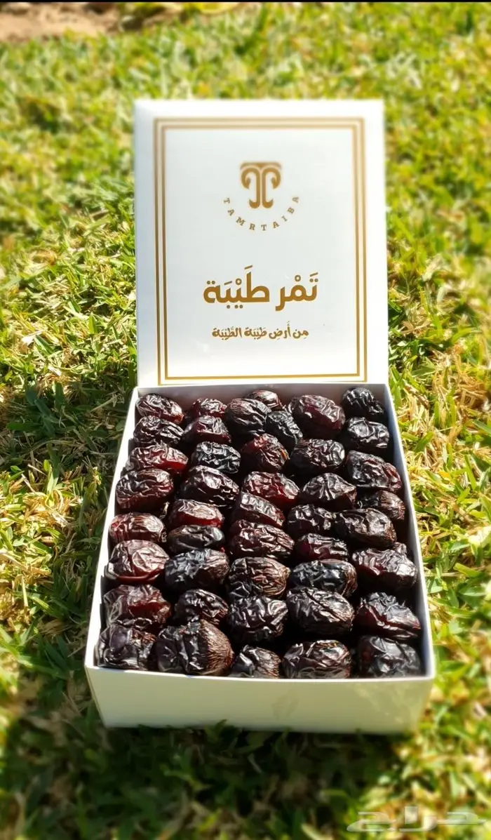 عجوة المدينة الفاخرة بركة وشفاء مم مزارع تَم ر طَيبَة 0