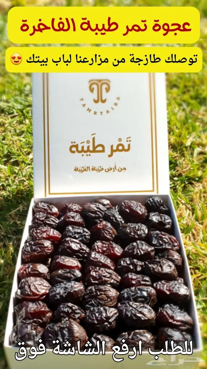 عجوة المدينة الفاخرة بركة وشفاء مم مزارع تَم ر طَيبَة 1