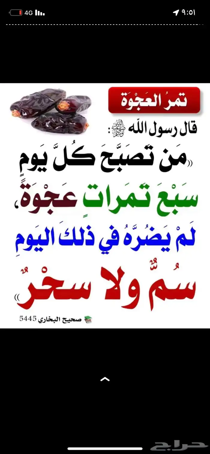 عجوة فاخر 2