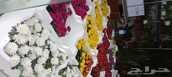 تنسيق الحدائق التيل طبيعي عشب صناعي 10