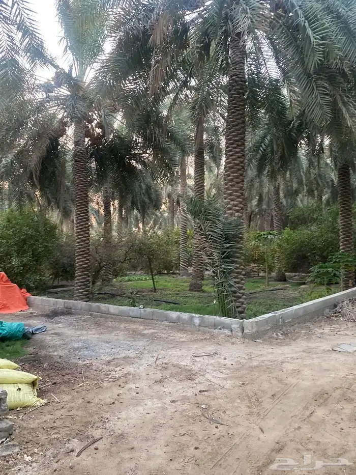 مزرعه صك حر 5