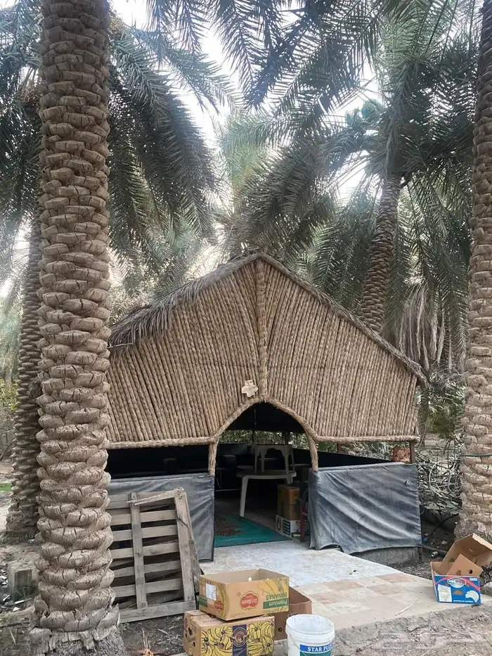 مزرعه صك حر 9