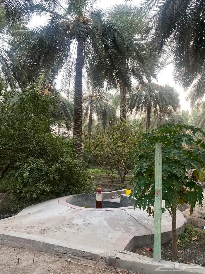 مزرعه صك حر 8