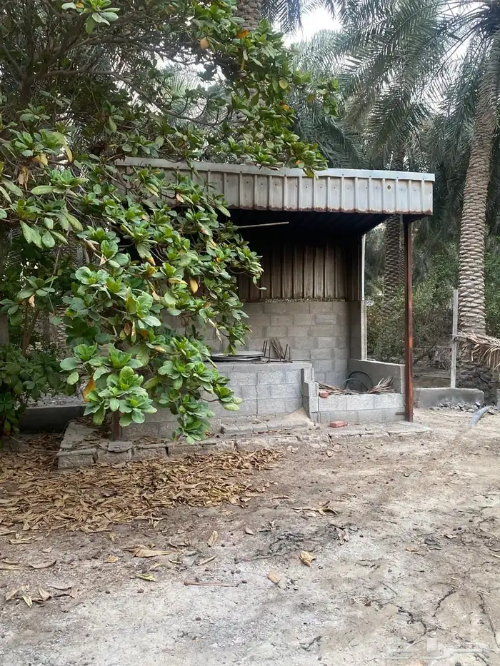 مزرعه صك حر 10