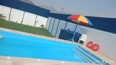 مسبح فيبر جلاس الشيلاهات والفلل 1