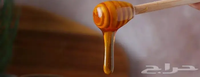 عسل سدر البيع جمله ب250 ريال 1