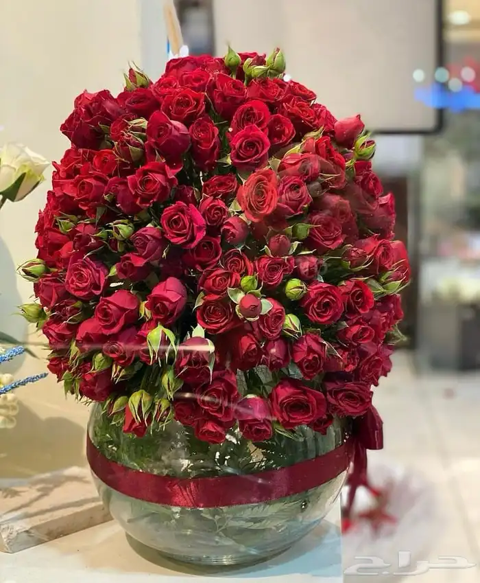 توصيل هدايا ورد خميس مشيط ابها تنسيق هدايا ورد الجنوب 26