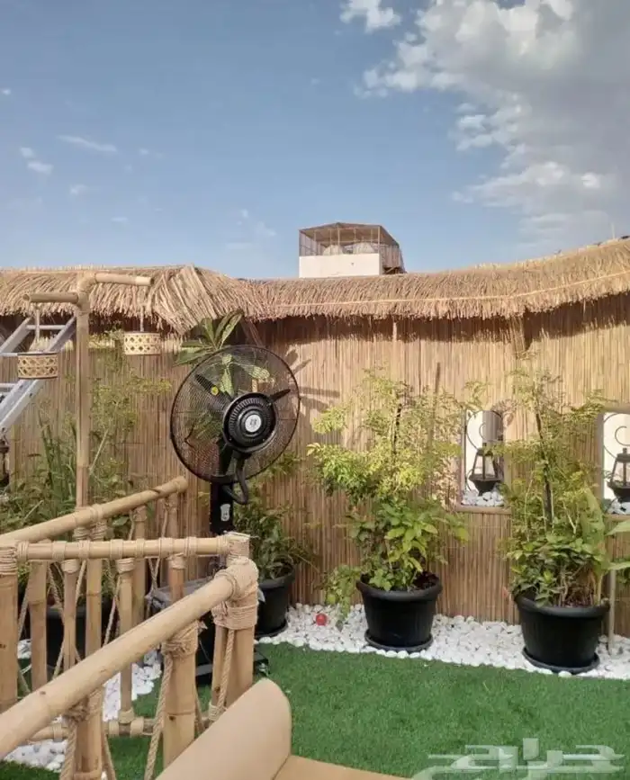 خيزران بامبو 0